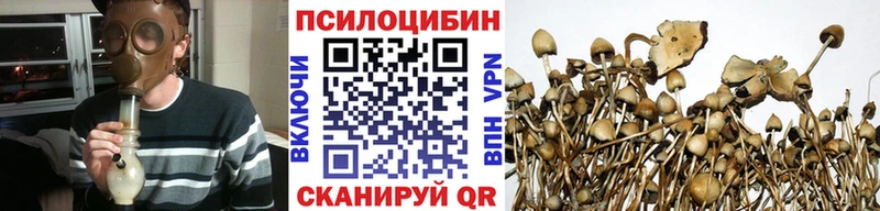 Галлюциногенные грибы MAGIC MUSHROOMS  Окуловка 
